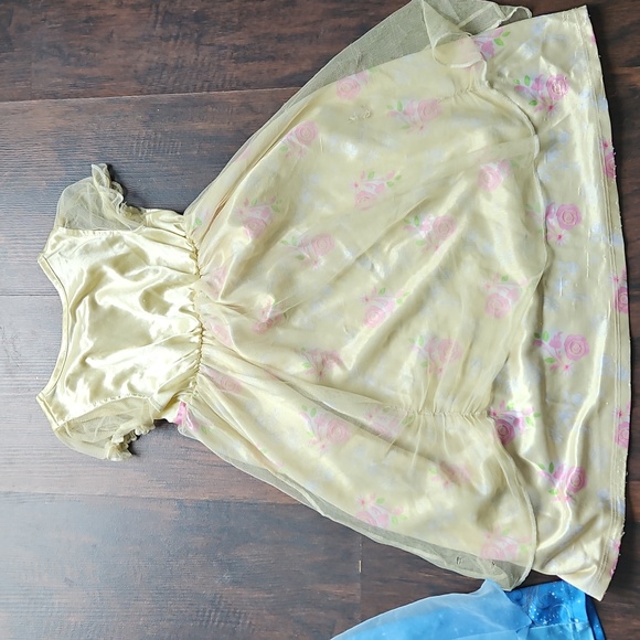 Blue and Gold Princess Dresses - Picture 6 of 7